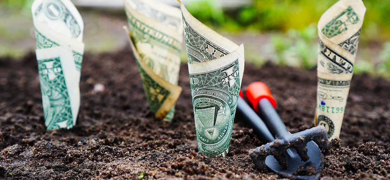 Decisions, Decisions: Aligning Endowment Investments to Your Mission