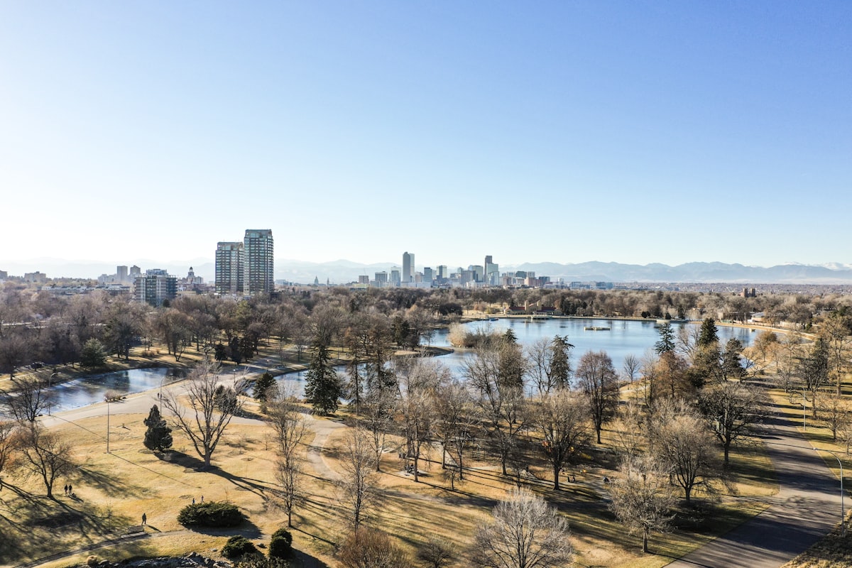 Fractional CFO Denver: When Growth Demands One